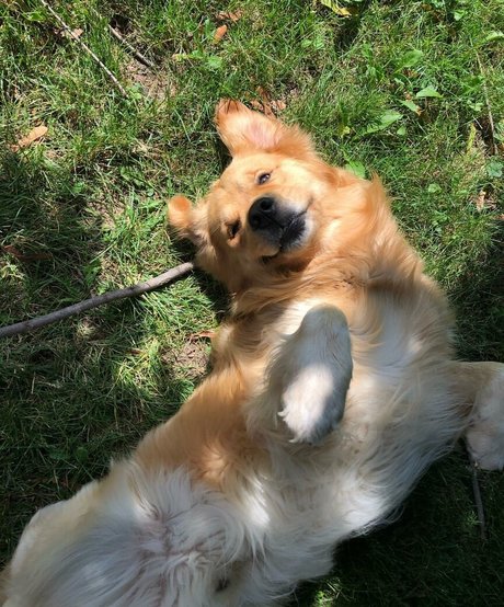 bubbablith onlyfans porno