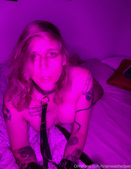 brainwashedpet onlyfans creator