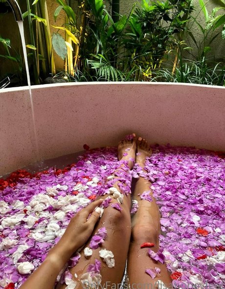 lisahoneyfeet onlyfans leak sex