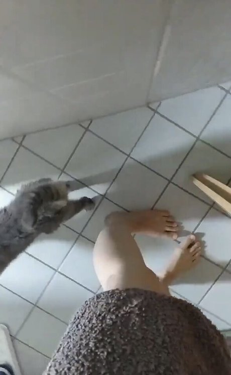 basostream only fans content