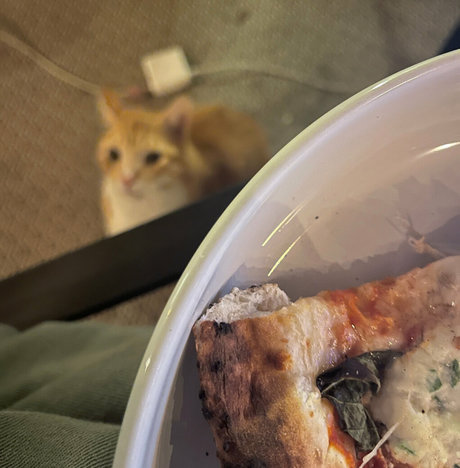 hairy pregnant onlyfans adult visuals