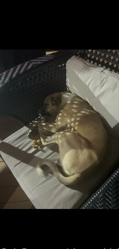 sleepychick11 onlyfans pictures