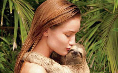 Rosie HW_ onlyfans leaked free