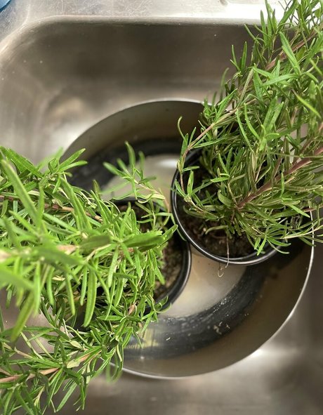 lingerie nude onlyfans pretty capture