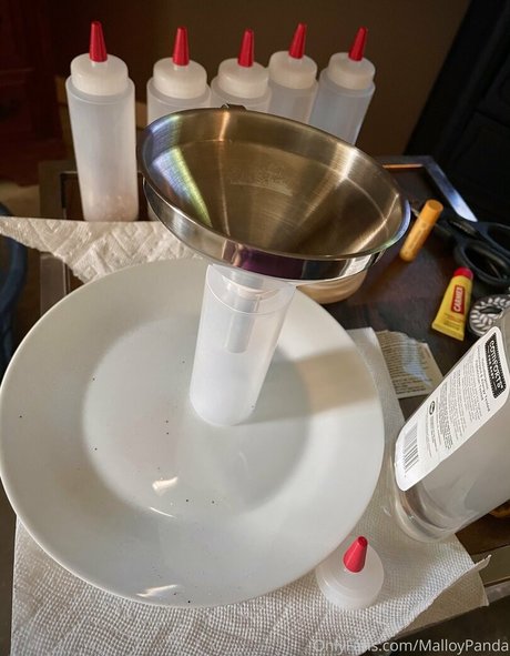 malloypanda onlyfans sex