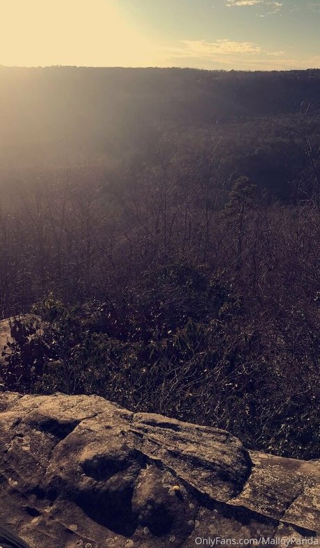 malloypanda onlyfans boobs
