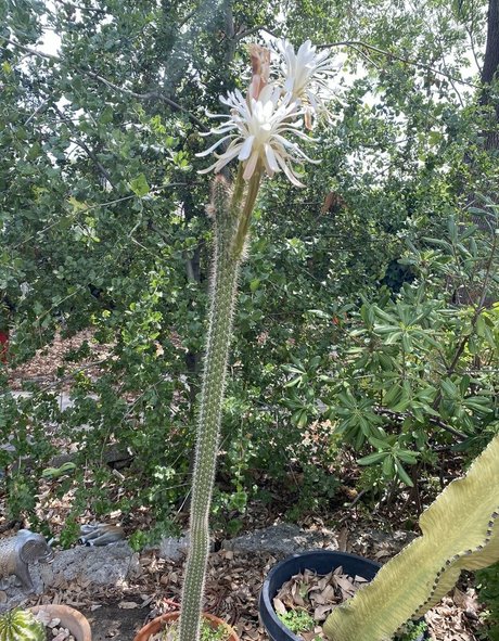 tallielorain nude leaks onlyfans