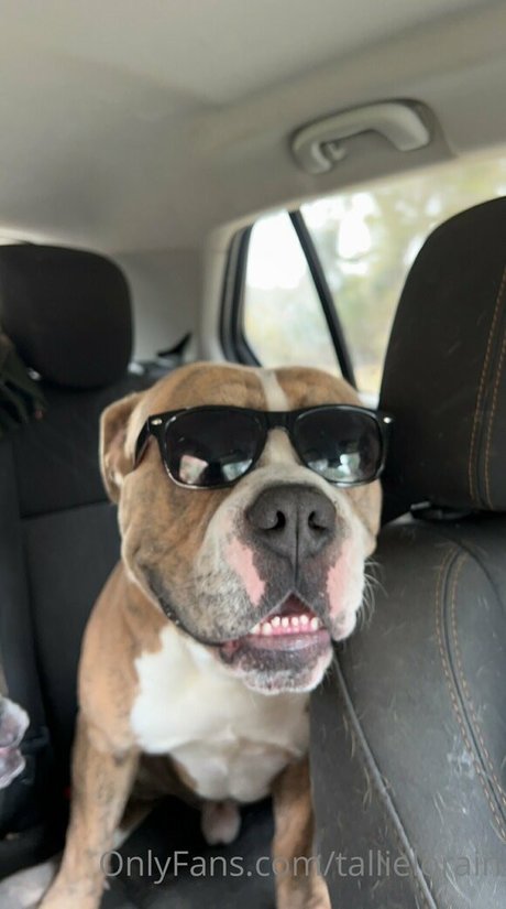 tallielorain onlyfans free