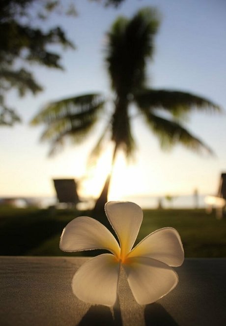 vaniljepus onlyfans naked leaks