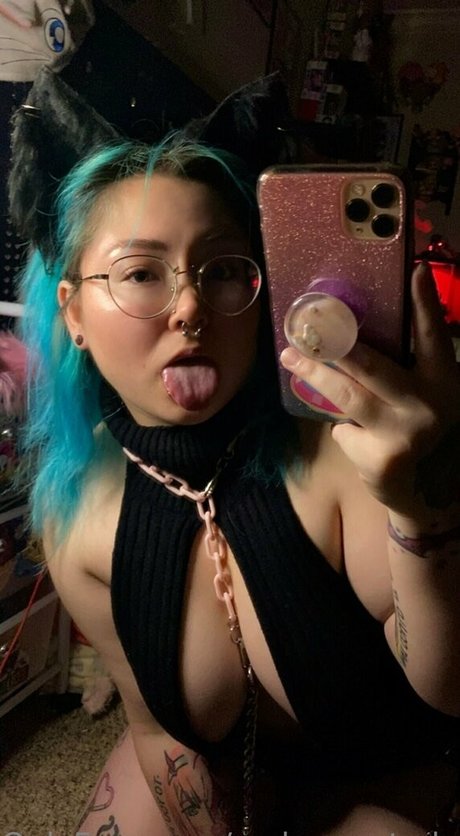 myherocatademiafree  visuals