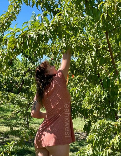 leahxwestfree nude onlyfans leak