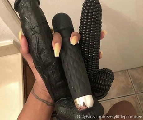 everylittlepromisee onlyfans archive