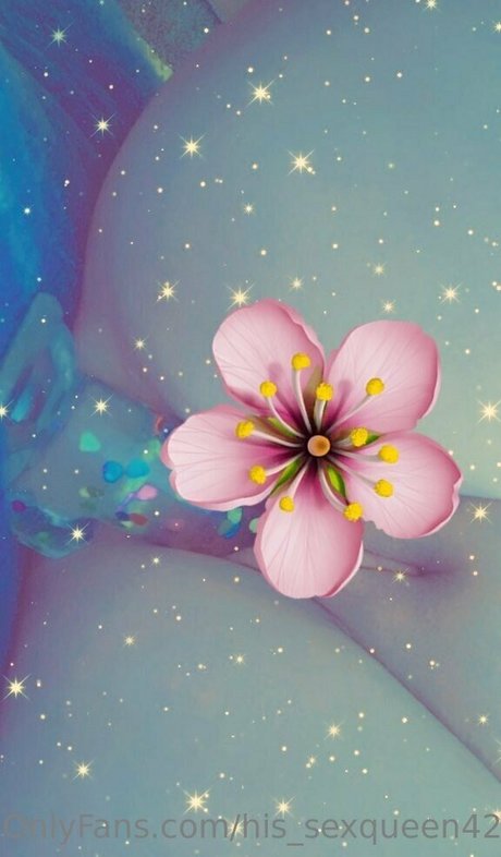 his sexqueen4200 hot onlyfans