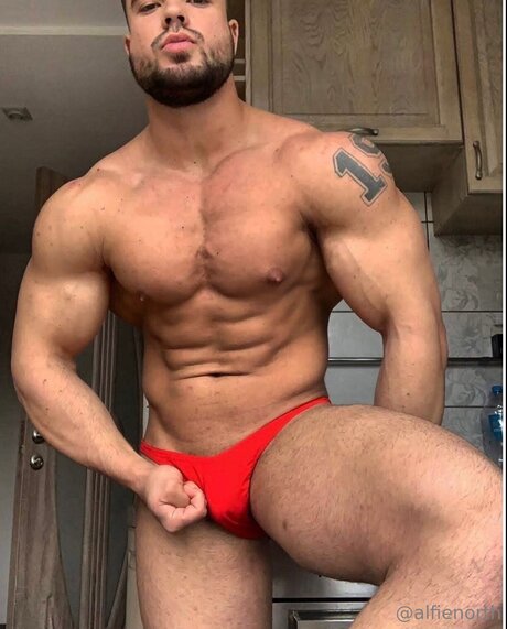 alfienorthfree onlyfans leak