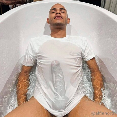 alfienorthfree leaked onlyfans porn
