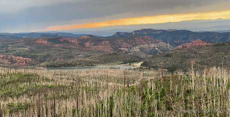 cheekz26 onlyfans free content