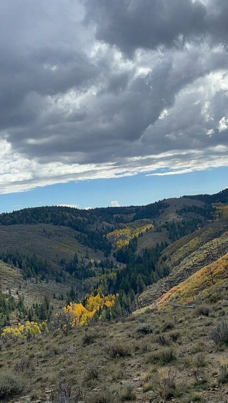 cheekz26 naked leaked onlyfans