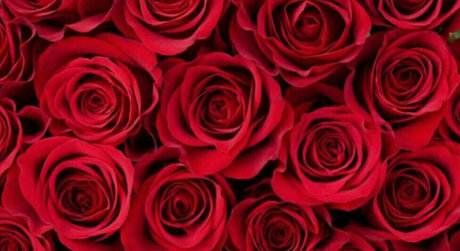 triple y onlyfans sex