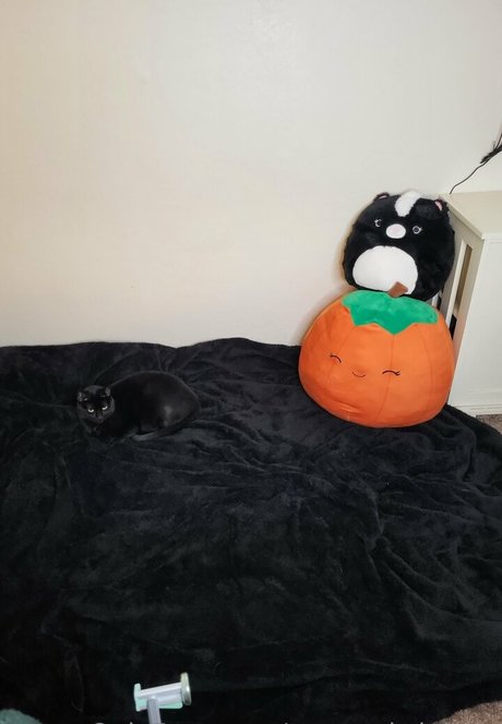 twopunksinlove leaked only fans nudes