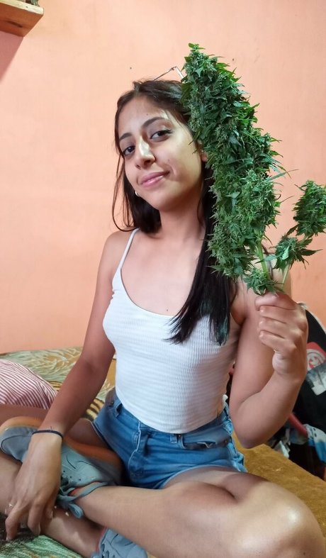 miasalcedo28 onlyfans archives