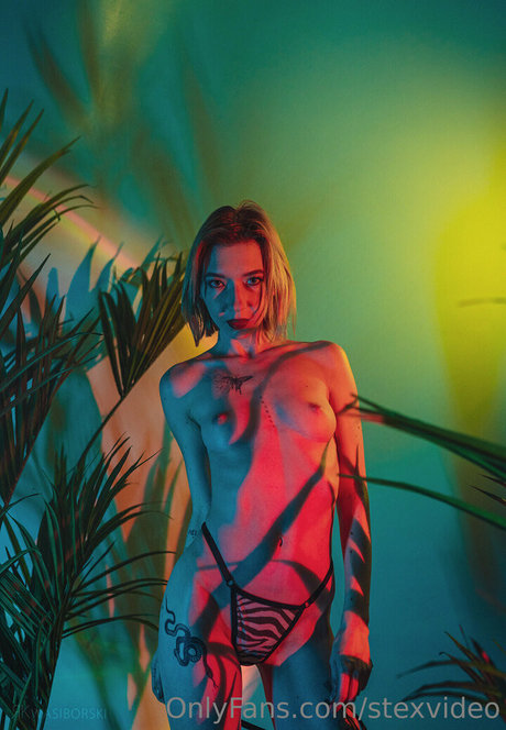 stexvideo pics onlyfans