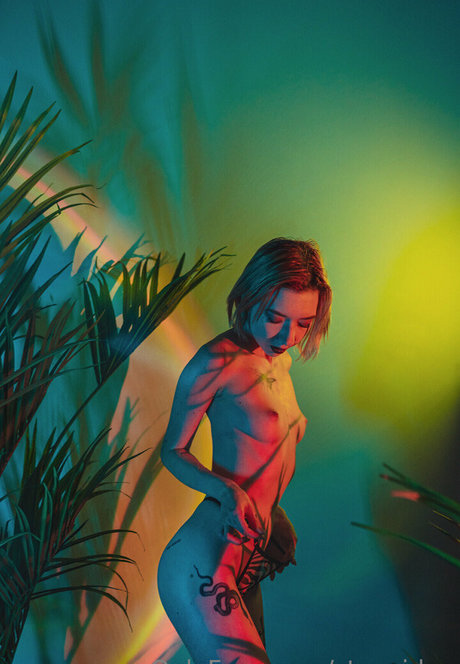 stexvideo onlyfans gratis