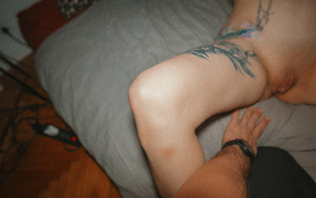 stexvideo porn onlyfans leak