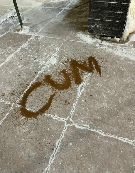 thenymphonextdoor onlyfans nude pics