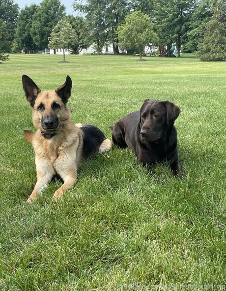 doubledboatgirl vip leaked only fans nudes