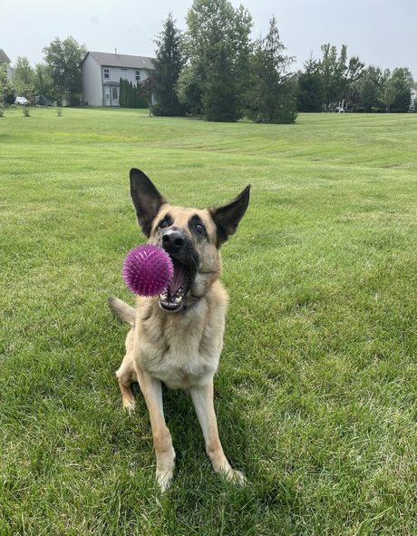 doubledboatgirl vip nudes onlyfans leak