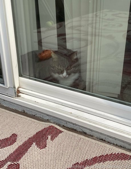 doubledboatgirl vip onlyfans sex