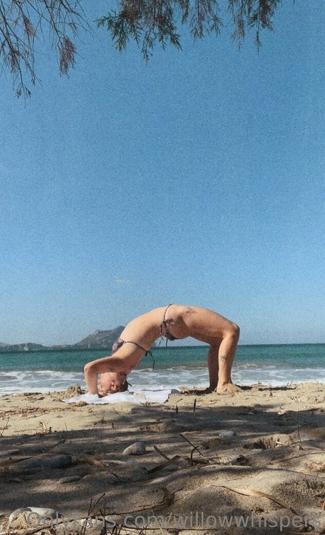 willowwhispers naked onlyfans leaked