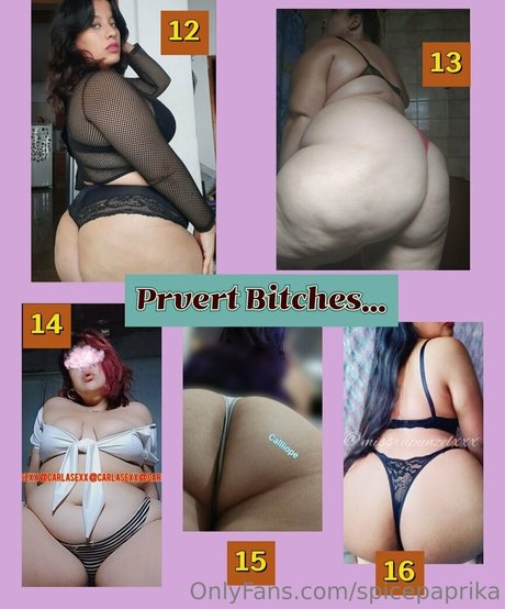 spicepaprika nudes onlyfans leaked