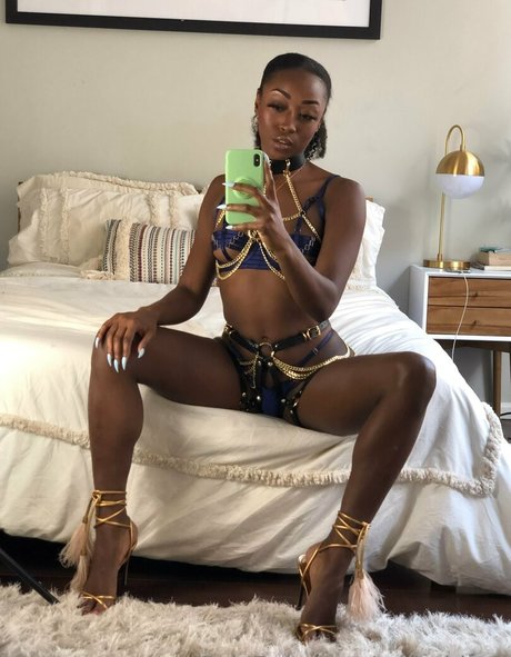 tashablack onlyfans archives