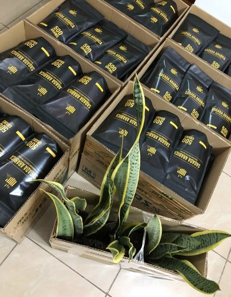 paoloamoresfree leaked onlyfans free