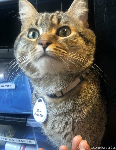 loracr0ss leaked onlyfans.