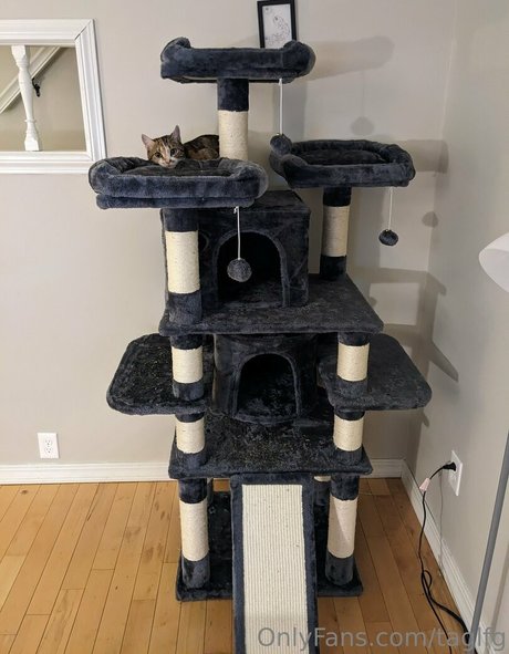 taglfg leaked onlyfans