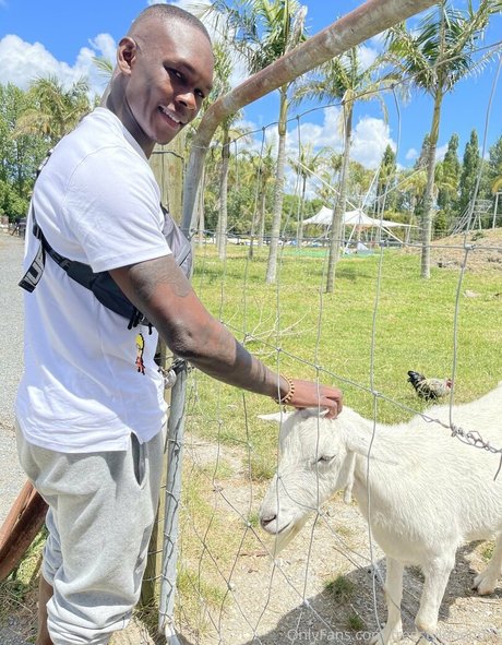 freestylebender onlyfans pictures