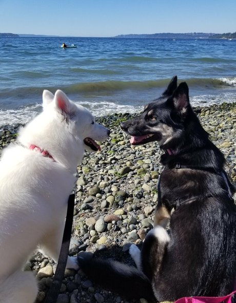 milf blowjob onlyfans sexy naked image