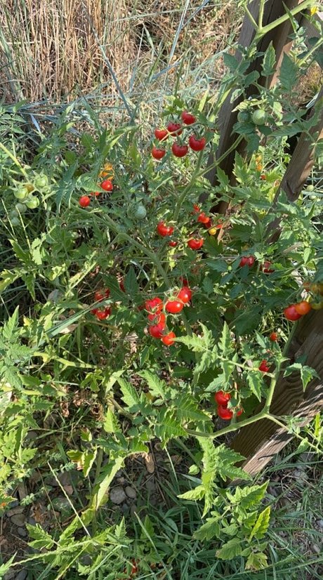 Blondedouce is on onlyfans