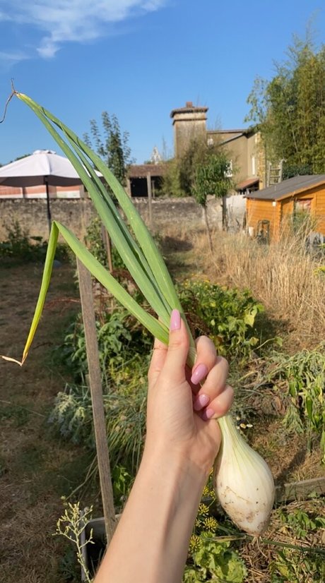 Blondedouce onlyfans nide