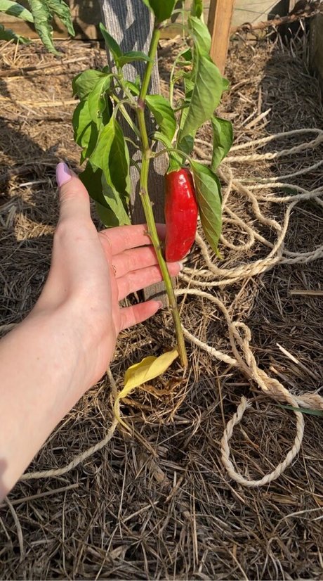 Blondedouce onlyfans sex tape