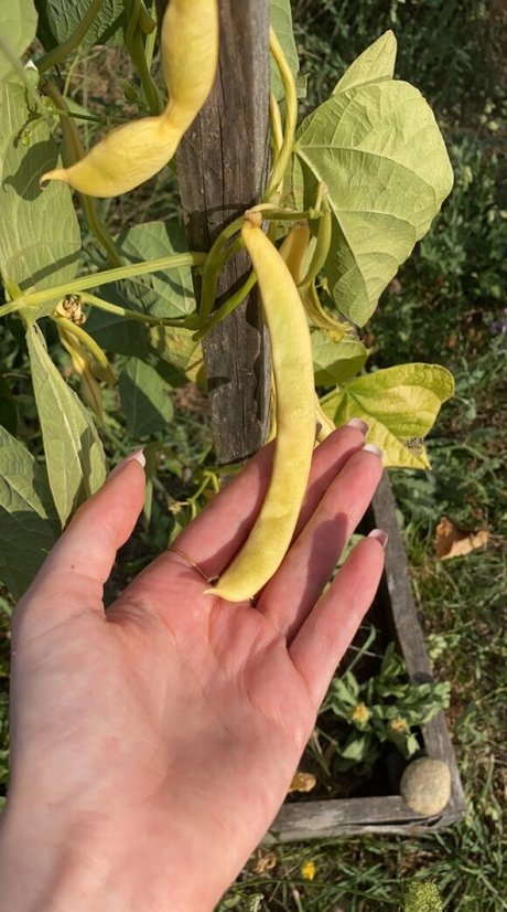 Blondedouce onlyfans de