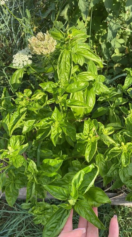 Blondedouce porn onlyfans leaks