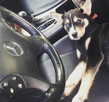 Kimi McFarland onlyfans for free