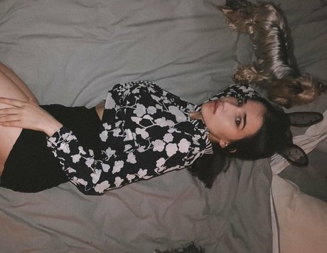 Kamilla Karieva  image