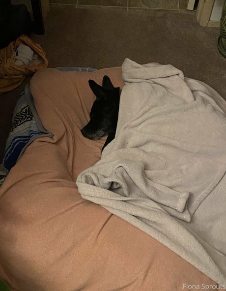 fionasprouts99 leaked onlyfans pictures