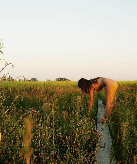 cowgirlbrooklynbabe onlyfans content leaked