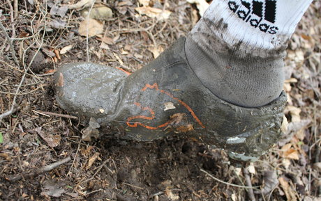 islandermud hot onlyfans