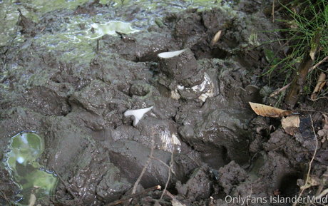 islandermud leaked onlyfans sex